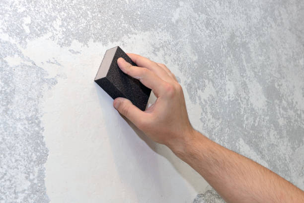 Best Attic Mold Removal  in Bishop, TX