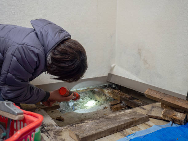 Best Dehumidification Services  in Bishop, TX