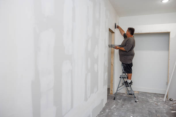 Best Water Damage & Mold Remediation  in Bishop, TX