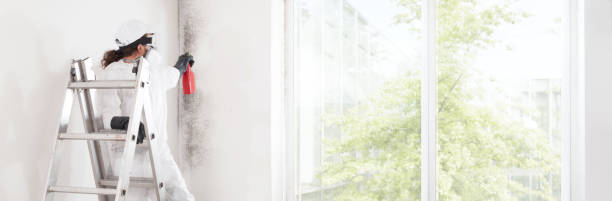 Best Emergency Mold Remediation  in Bishop, TX